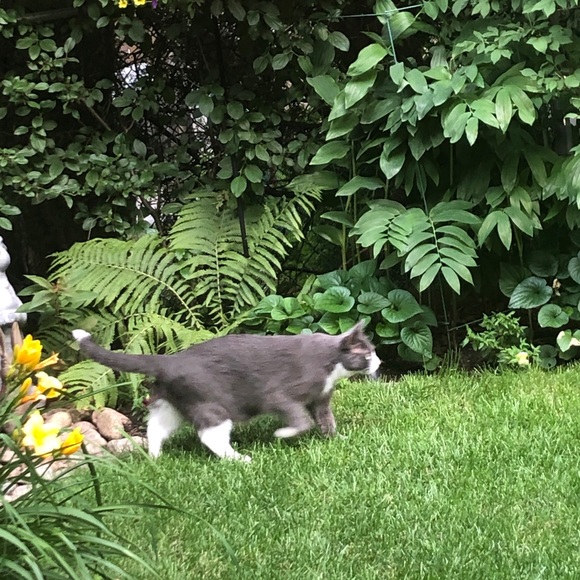 Meet your Posher, Michelle - Picture 1 of 1